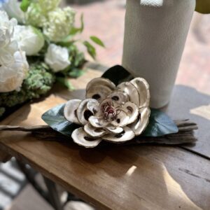 Oyster Shell Magnolia on Driftwood