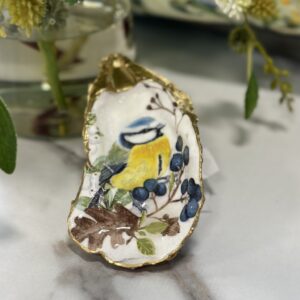 Eurasian Bluetit Bird
