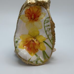 Daffodil Oyster Shell